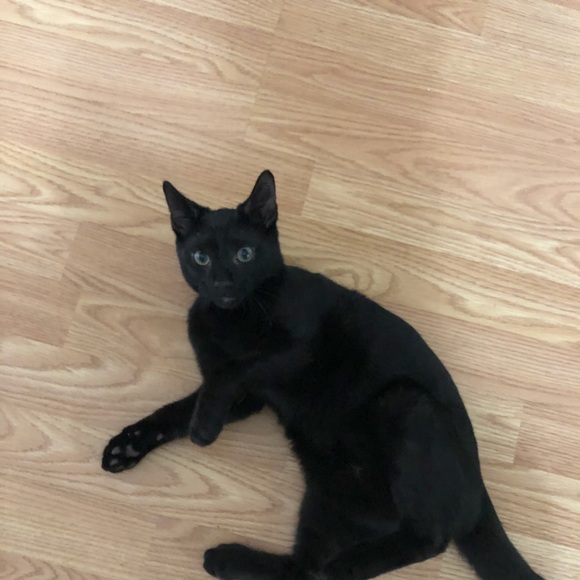 Meet your Posher, Heather - Picture 1 of 1